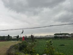 -美家乐农庄·露营·团建(大治路店)