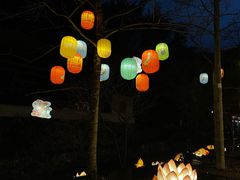 -布袋山风景区