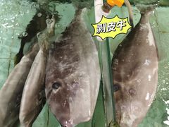 -寻味顺德·南记酒家·传统顺德菜·鱼生(广源路店)