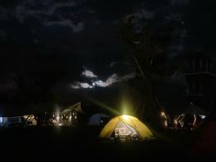 -春花秋色城市公园