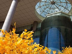 -西北轻工批发市场