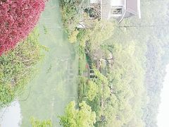 -杭州花家山庄