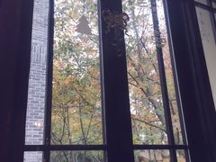 -也枫·小黄楼(南山路旗舰店)