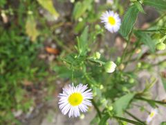 -禾田下生态餐厅(华天城总店)