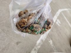 -护国寺小吃(安定门店)