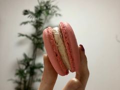 莓果马卡龙-麦当劳(卫星广场店)