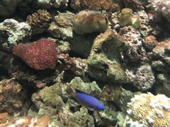 -福州罗源湾海洋世界旅游区