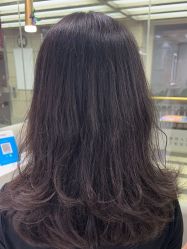 -镁连社·美联社