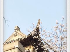 -武汉大学-樱园