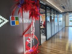 -微软中国有限公司(上海分公司)