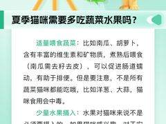 -瑞派申生动物医院·24H夜诊·国际动物医疗中心·骨外科(吴中路店)