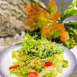 从开业就种草的一家宝藏川菜馆，周内下午竟然意外拔草了