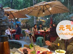 -二荆条·蜀鲜汇城市森林火锅