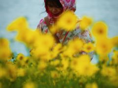 -贡湖湾湿地公园