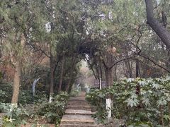 -云龙山