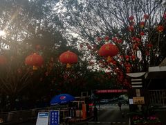 -西南政法大学(渝北校区)