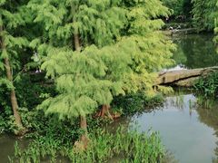 -云溪植物园