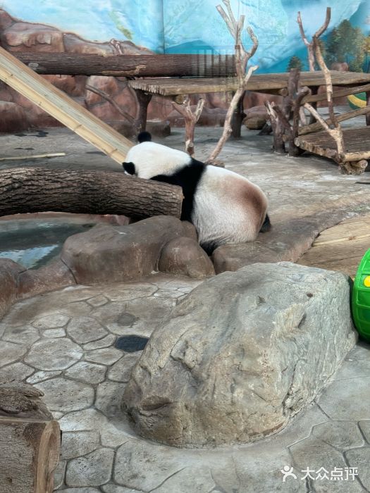 南宁加勒比水世界图片