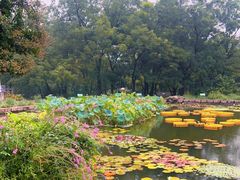 -国家植物园南园