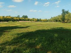 -白鹭湾湿地公园