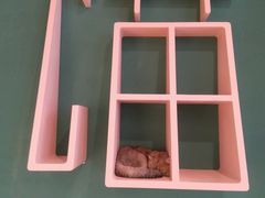 -飞行喵MR PILOT|猫舍·猫咖(静安大融城店)