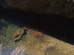 -九龙潭景区