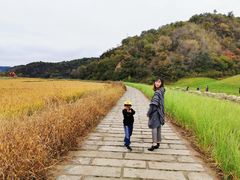 -南泥湾风景区