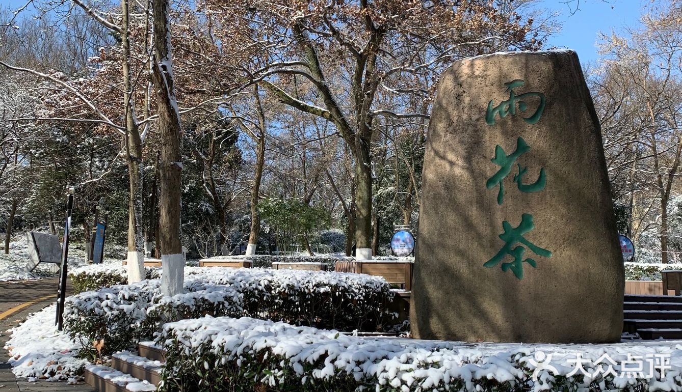 青松挺且直