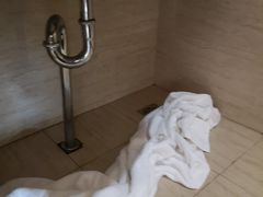 -金水鹤温泉国际酒店