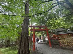 -野宫神社