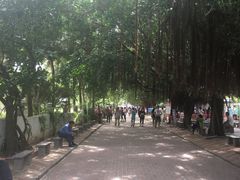 -亚龙湾海底世界