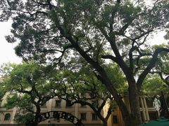 -星巴克臻选(广州沙面店)