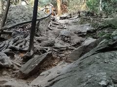 -梧桐山风景名胜区