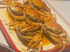-海岛八号龙虾烧烤田鸡(蓝天路总店)