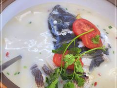 -全乐鱼馆·淳牌有机鱼直营店