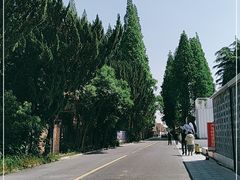 -云间粮仓