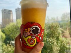 芝星芒芒-盖乐星(西大街店)