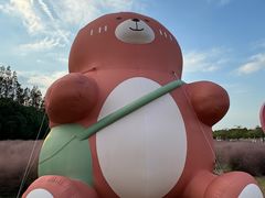 -嘉北郊野公园
