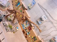 -陕西自然博物馆