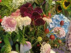 -爱尚幸福鲜花(上地实体店)