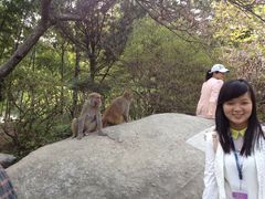 景点-庐山风景区花径公园