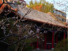 -碑林公园