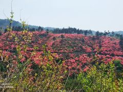 -木兰云雾山