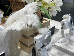 -Sony Store 索尼(上海淮海中路店)