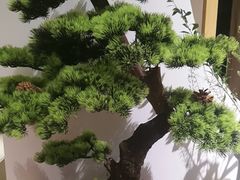 -闻鲜素食茶餐厅(高新区店)