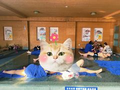 -南宫温泉水世界