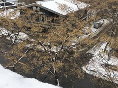 -蝦塘·中国餐馆(城墙南马道巷店)