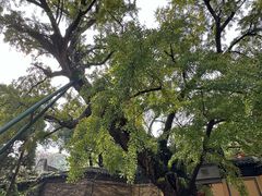 -无锡惠山寺