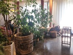 -慢丽江·云南野生菌土鸡锅(付家庄店)