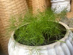 -七步香云南山里菜(昆明老街店)